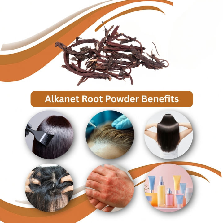 RatanJot%20Powder%20%7C%20Organic%20Ratan%20Jot%20%7C%20Alkanet%20Root%20Powder%20for%20Hair%20Dye%20%7C%20Natural%20Alkanet%20Powder%20%7C%20Natural%20Ratan%20Jot%20%7C%20Organic%20Alkanet%20Powder%20200Grams%20By%20The%20Herbal%20(%20Pure%20Natural%20)%20-%20Image%202