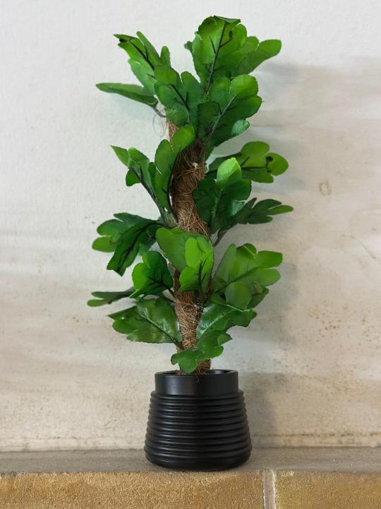 Breezy%20Tall%20Fiddle%20Leaf%20Fig%20Tree%20in%20Pot%20-%20Decorative%20Indoor%20Plant%20-%20Image%204