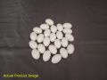 (9 or 18 Pcs) Artificial Plastic Eggs - Dummy eggs of Bird - Bird's Egg Size Plastic Hollow Shell. 