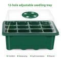 2X Seed Starter Trays Seedling Tray 12 Cells Humidity Adjustable Plant Starter Kit with Dome Greenhouse Grow Trays Green. 