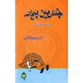 Gentleman Urdu Novel By Kernal Ishfaq Hussain. 