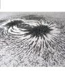 Iron Powder Magnetic Sand For Arts And Science Education 70G. 