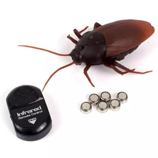 Giant Remote control Wireless Cockroach For Playing & Kidding Lal baig toy  cocroch toy gift best remote kidding toy | Daraz.pk