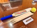 Naqqah Sports Kids Zone Popular Willows Cricket Bat with Wicket Set & 1 Tennis Ball for  Cricket Bat Ball Stumps Set with ABS Wooden Cricket Bat Set  Bat, Ball, Wicket Stand Kit for Children Parent-Child Sports Game Gift for Boys and Girls. 