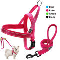 Lead & Harness - For Large Dogs. 
