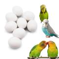 Dummy Eggs For Love Bird/Exibition Pack Of 2 By Ks Pets Care. 