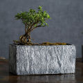 【Miga Plaza】Wei Green Creative Nordic Rectangular Stone-like Breathable Epipremnum Aureum Succulent Butterfly Orchid Bamboo Cement Flower Pot Large Indoor. 