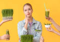 organic wheatgrass powder wheatgrass juice powder in pakistan 50g. 