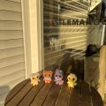 Kpop IdoL Blackpink BORN PINK Character Mini Stuffed Toys Plush Doll. 