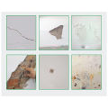 Magic White Latex Paint Wall Repair Cream Household Hole Disappear Waterproof. 