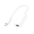 TE USB-C to Mini Display Port Adapter USB 3.1 Type C (Thunderbolt 3) to Thunderbolt 2 Adapter For MacBook Pro. 