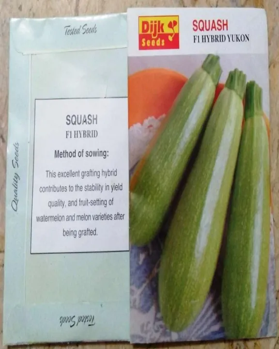 Squash%20F-1%20Hybrid%20Yukon%20-%20Image%204