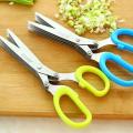 5 Blade Security Shredding Scissors Stainless Steel Blades-Random colour. 
