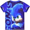 Cartoon Sonic The Hedgehog Costume for Kids Sonic T Shirt Shorts Suit Terno Boy Cap Hedgehog Birthday Halloween Party Cosplay. 