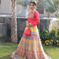 lehenga choli/02. 