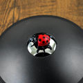 3D Mirascope Toy Optical Hologram Optical Projection Visual Illusion Image Instant Illusion Maker-1. 