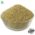 Quinoa 1KG کینوا - Kinnow Seed - 100% Original, Fresh and Pure Kinwa / Quonia / Qunoa / Qunioa Seed 1000 grams by Herbisol. 