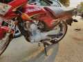 Bike Seat Cushion (Ridderz) / Motorcycle Seat Cover. 