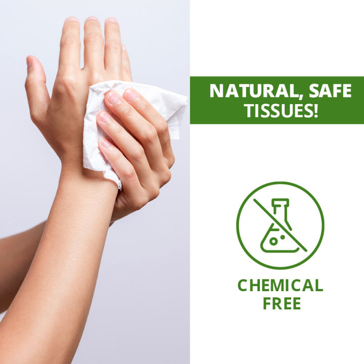 (Pack%20of%2020)%20WBM%20Toilet%20Tissue%20Roll%202%20PLY%20-%20300s%20%20100%25%20Wood%20Pulp%20Toilet%20Paper%20Roll%20-%20Image%206