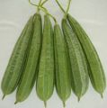 Luffa Gourd ( کالی توری, Kali Tori , Desi) Summer Vegetable seeds Buy one get one Free. 