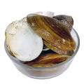 Sippiyan 100gm - Clam Shell - 100% Original, Fresh and Pure Seppian / Seashell / Sea Shell / Seepian 100 grams by Herbisol. 