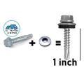 50 Pieces Self Drilling Screw 1 inch with leakage Proof Cap. 