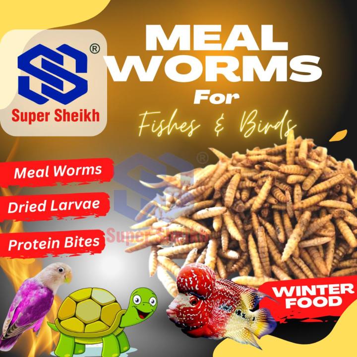 Bsf (Dried Larvae) 50 Grams Meal Worms - Protein Bites - black soldier fly larvae - For All Kind of Birds & Fishes