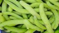 Tar / Kakri (Armenian Cucumber) Seeds - Summer Vegetable Seeds. 