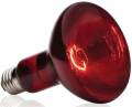 Infrared Bulb - IR Bulb 100 Watt. 