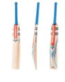 GRAY NICOLLS Hard Ball Cricket Bat 2025 – HIGH QUALITY | Best Price in Pakistan 🏏–TM Sports.. 
