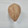 4PCS Wasp Nest,Decoy Hang  Wasp Nest Paper Decoy Safe  Trap Effective Eco Friendly Paper Wasp Nest for Garden. 