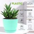 Fast Forward Small Decorative Flower Pots with Drainage - Plastic Planters for Indoor Plants, Flowers, Cactus, and Succulents Set of 2 different Size (without Plant). 