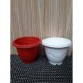 Set of 6 Cute plastic Pots for Seedling Cactus Succulent Flower pot. 