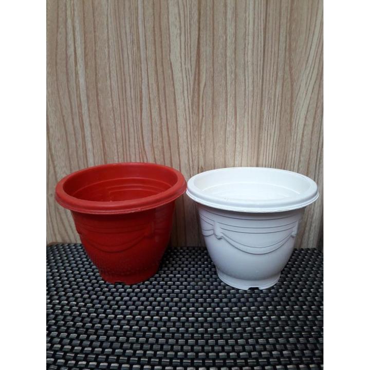 Set of 6 Cute plastic Pots for Seedling Cactus Succulent Flower pot