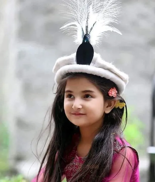 Chitrali%20100%25%20Wool%20hat%20Cap%20Pakol%20Handmade%20Topi%20+%20Feather%20-%20Image%204