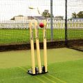 FORTRESS Spring Back Cricket Stumps - 28in ICC Regulation Stumps for Cricket | Club & Pro Styles | Spring Back Wickets & Bails | Freestanding Cricket Set for Seniors. 