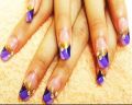 SALON EXPRESS NAIL ART STAMPING CREATE 100'S OF DESIGNS. 