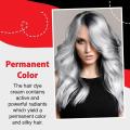 Frost Cream Neutral Hair Care Grey Hair Dye Cream Neutral Smoky Grey Punk Style 100ml Light Grey Silver Permanent Hair Color. 