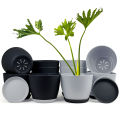 Fast Forward Extra Large Plant Pots: Two Vibrant Colors, Drainage, Ideal for Indoor Planters - Explore Multi-Packs for Plastic Planters, Cactus, and Succulents Decor. 