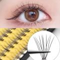 Lvcheryl Thick Self Grafted Eyelash Extension Set Kits With Glue Tweezers Segmented False Eyelash Individual Eyelashes Free Tools. 
