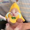 Banana Shaped Cat Hat Adorable Banana Shape Pet Hat with Bow for Stylish Cats Eye-catching Kitty Headwear Costume Accessory Buy on Cat Hat. 