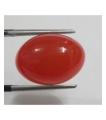 Red Carnelian Gemstone - Weight: 12.80ct. 