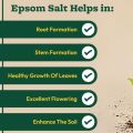 Epsom Salt 5 kg for Plant Growth & Development | Contains Magnesium Sulfate Water Soluble Plant Fertilizer | Prevents yellowing of leaves | Promotes bountiful blooms | tasty fruits and plant. 
