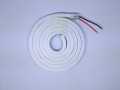 1 Meter Yard Neon Flexible LED Light Strip 12v - IP65 waterproof (100 LED/1m) - Adapter not included- Customized length available. 