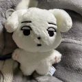 Kpop Idol Aespa WINTER KARINA Animal Doll Plush Doll White Curry Dog Stuffed Toys. 