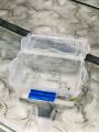 Multipurpose Plastic Storage small box for jewellery - food Length 6" width 3.5" depth 2.5". 