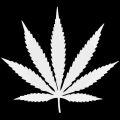 1Pc Black PVC leaf sticker, Weed sticker. 