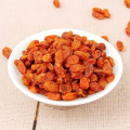 100% Pure/Premium Sea Buckthorn Berries/Hunza seabuckthorn Berries/Organic Dried Sea Buckthorn Berries | Pure Gilgit Baltistan Superfood 1KG/500G200G/100G/50G. 
