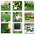 Tijarat online Artificial Grass - Real Feel American Grass austotruf   -20MM  (2FT by 2FT). 