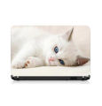 Universal Laptop Back Skin Wallpaper/Cute Cat Laptop 3D Simple And Fashionable laptop back sticker. 